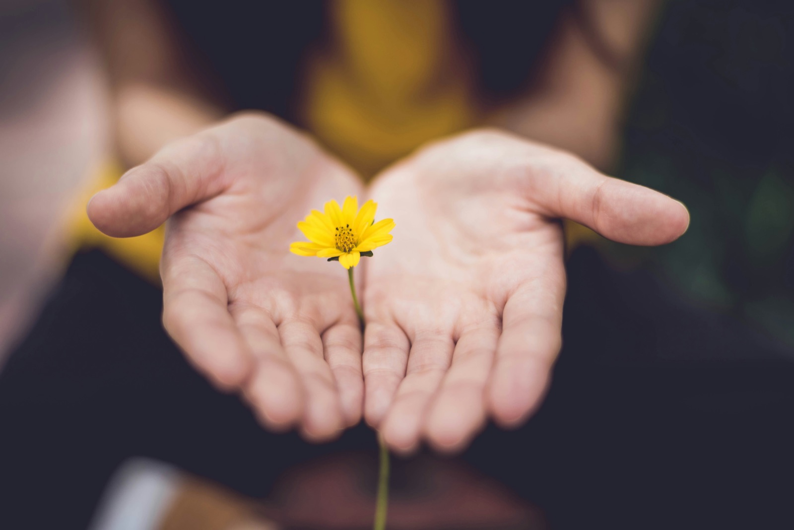 Compassionate hands — new beginnings